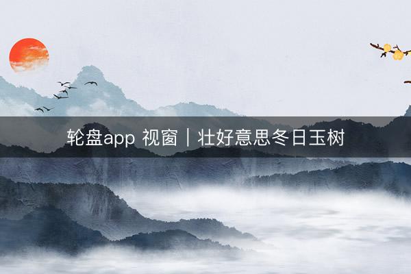 轮盘app 视窗｜壮好意思冬日玉树