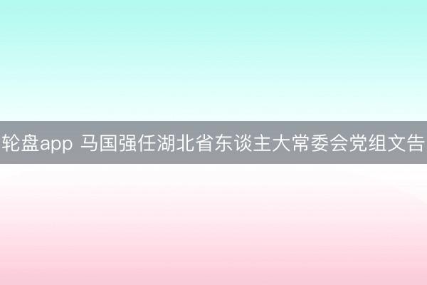 轮盘app 马国强任湖北省东谈主大常委会党组文告