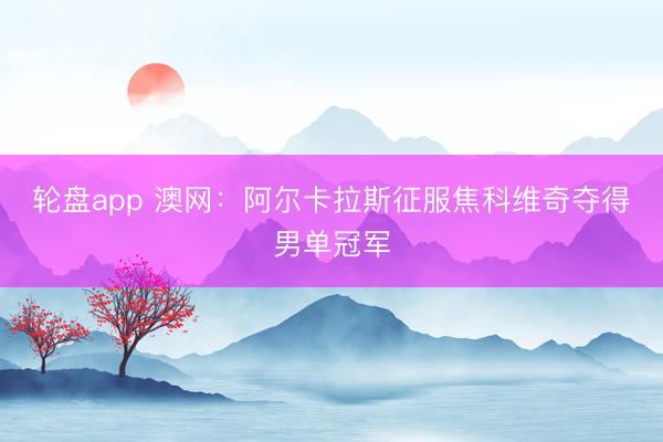 轮盘app 澳网:阿尔卡拉斯征服焦科维奇夺得男单冠军