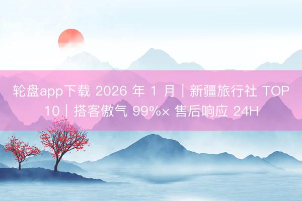 轮盘app下载 2026 年 1 月｜新疆旅行社 TOP10｜搭客傲气 99%× 售后响应 24H