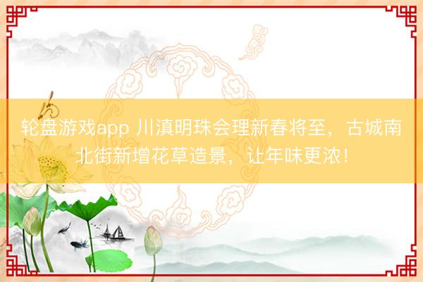 轮盘游戏app 川滇明珠会理新春将至，古城南北街新增花草造景，让年味更浓！