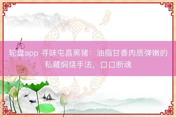 轮盘app 寻味屯昌黑猪：油脂甘香肉质弹嫩的私藏焖烧手法，口口断魂