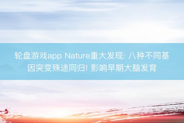 轮盘游戏app Nature重大发现: 八种不同基因突变殊途同归! 影响早期大脑发育
