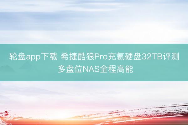 轮盘app下载 希捷酷狼Pro充氦硬盘32TB评测 多盘位NAS全程高能