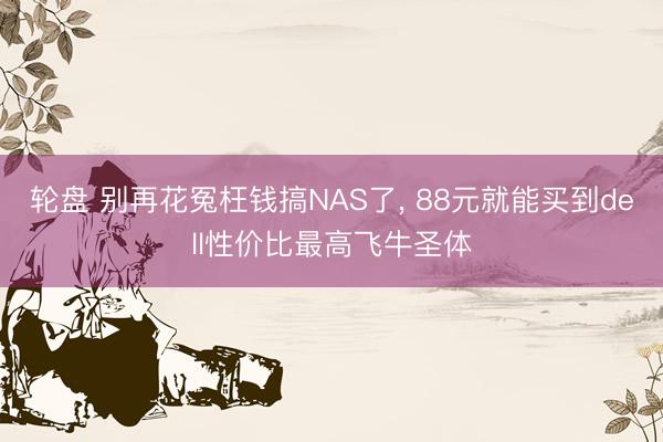 轮盘 别再花冤枉钱搞NAS了， 88元就能买到dell性价比最高飞牛圣体