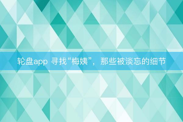 轮盘app 寻找“梅姨”，那些被淡忘的细节