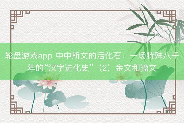 轮盘游戏app 中中斯文的活化石：一场特殊八千年的“汉字进化史”（2）金文和籀文