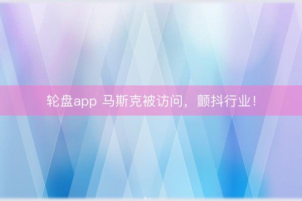轮盘app 马斯克被访问，颤抖行业！
