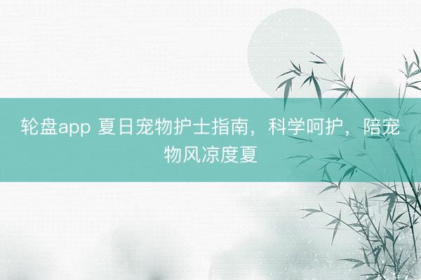 轮盘app 夏日宠物护士指南，科学呵护，陪宠物风凉度夏