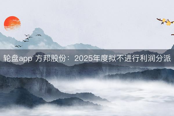 轮盘app 方邦股份：2025年度拟不进行利润分派