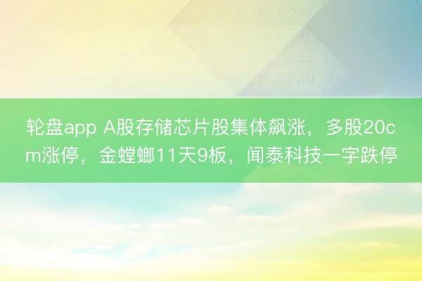 轮盘app A股存储芯片股集体飙涨，多股20cm涨停，金螳螂11天9板，闻泰科技一字跌停