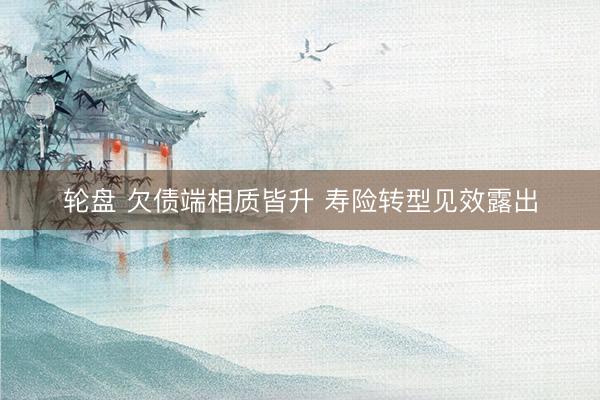 轮盘 欠债端相质皆升 寿险转型见效露出