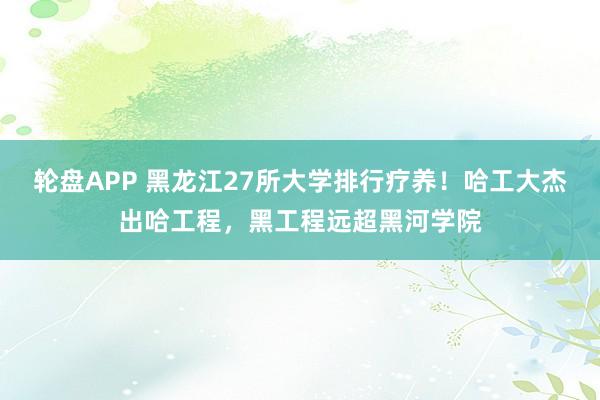 轮盘APP 黑龙江27所大学排行疗养！哈工大杰出哈工程，黑工程远超黑河学院