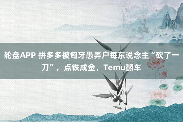 轮盘APP 拼多多被匈牙愚弄户每东说念主“砍了一刀”，点铁成金，Temu翻车