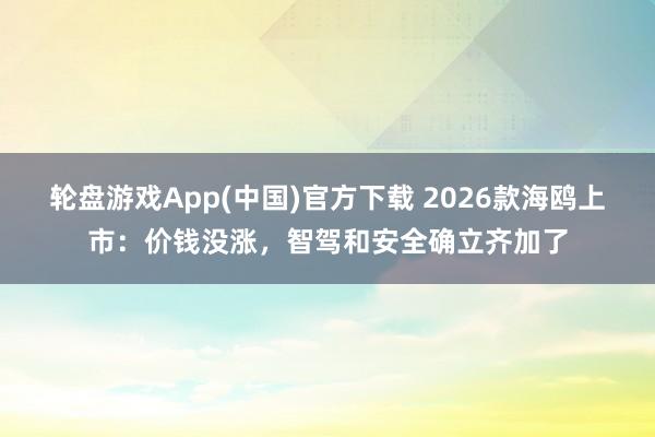 轮盘游戏App(中国)官方下载 2026款海鸥上市：价钱没涨，智驾和安全确立齐加了