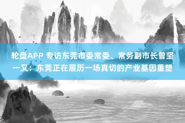 轮盘APP 专访东莞市委常委、常务副市长曾坚一又：东莞正在履历一场真切的产业基因重塑