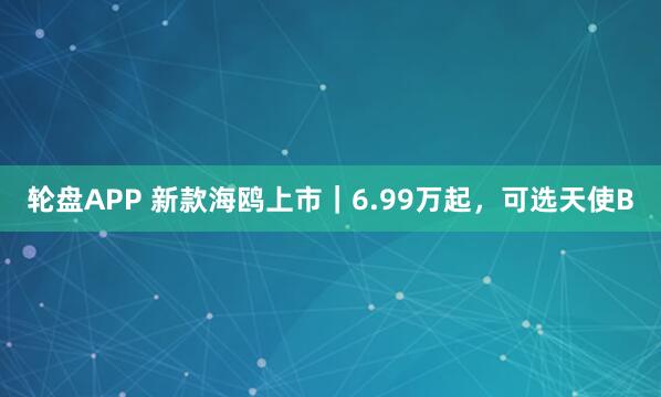 轮盘APP 新款海鸥上市｜6.99万起，可选天使B