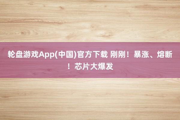 轮盘游戏App(中国)官方下载 刚刚!暴涨、熔断!芯片大爆发