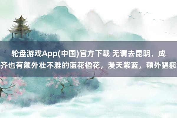 轮盘游戏App(中国)官方下载 无谓去昆明,成齐也有额外壮不雅的蓝花楹花,漫天紫蓝,额外猖獗