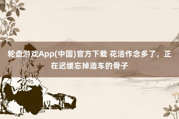 轮盘游戏App(中国)官方下载 花活作念多了，正在迟缓忘掉造车的骨子