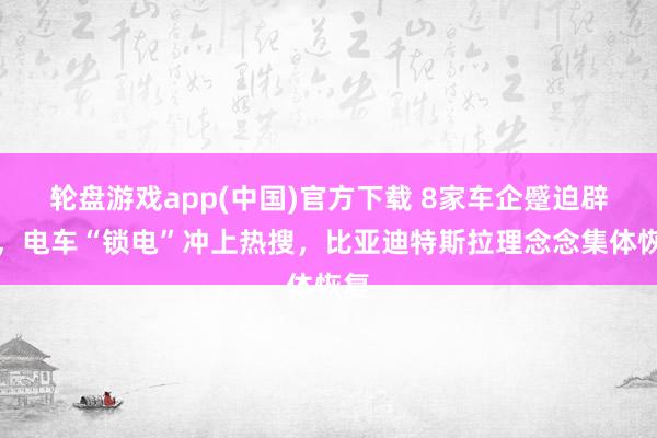 轮盘游戏app(中国)官方下载 8家车企蹙迫辟谣，电车“锁电”冲上热搜，比亚迪特斯拉理念念集体恢复