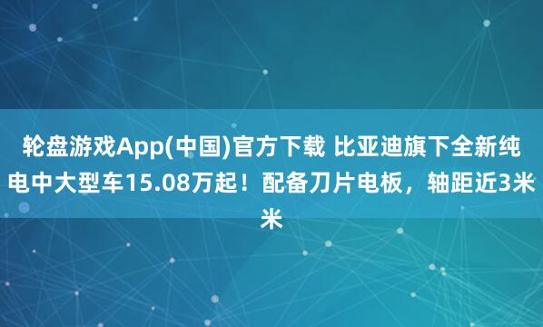 轮盘游戏App(中国)官方下载 比亚迪旗下全新纯电中大型车15.08万起！配备刀片电板，轴距近3米
