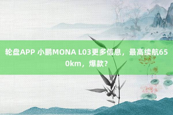 轮盘APP 小鹏MONA L03更多信息，最高续航650km，爆款？