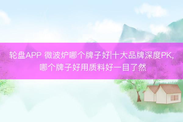 轮盘APP 微波炉哪个牌子好|十大品牌深度PK， 哪个牌子好用质料好一目了然