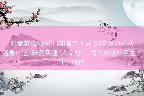 轮盘游戏App(中国)官方下载 50岁后力不从心？别急！这3味药买通“人命线”，肾气统统如后生，临床