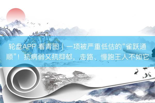 轮盘APP 看青图｜一项被严重低估的“雀跃通顺”！抗病弱又抗抑郁，<a href=