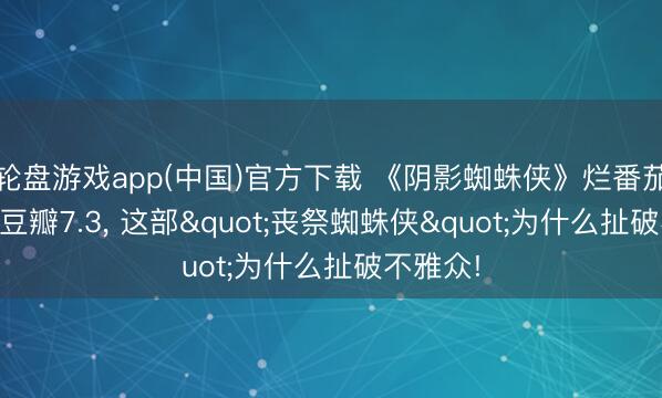 轮盘游戏app(中国)官方下载 《阴影蜘蛛侠》烂番茄91%、豆瓣7.3， 这部"丧祭蜘蛛侠"为什么扯破不雅众!